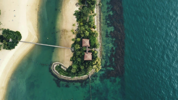 aerial view of green grass field and trees beside body of water during daytime